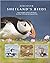 Discover Shetland's Birds