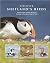 Discover Shetland's Birds by Paul Harvey