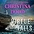 Virtue Falls (Virtue Falls #1)