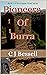 Pioneers of Burra