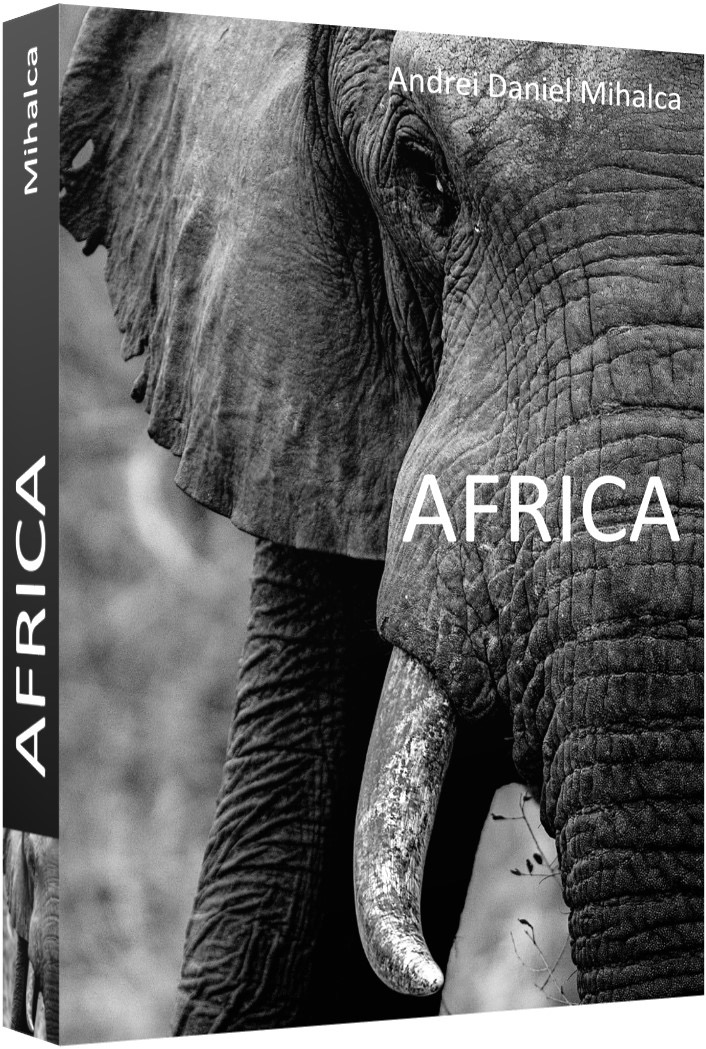 Africa (Unknown Binding)