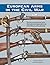 European Arms in the Civil War
