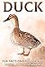 Duck: Fun Facts on Birds fo...