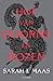 Hof van doorns en rozen by Sarah J. Maas