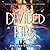Divided Fire