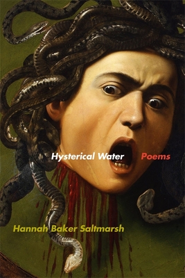 Hysterical Water: Poems (Georgia Review Books)