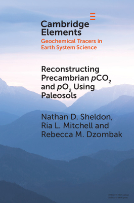 Reconstructing Precambrian pCO2 and pO2 Using Paleosols (Elements in Geochemical Tracers in Earth System Science)
