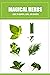 Magical Herbs: Guide to Gro...