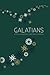 Galatians by Hope A Blanton