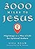 3000 Miles to Jesus: Pilgrimage as a Way of Life for Spiritual Seekers