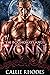 Vonn (The Boundarylands, #14)
