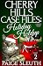 Cherry Hills Case Files: Holiday Holdup: A Humorous Christmas Whodunit Special (Cozy Cat Caper Mystery Short Book 2)