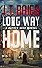 Long Way Home (Matthew Riker #3)