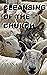 Cleansing of The Church