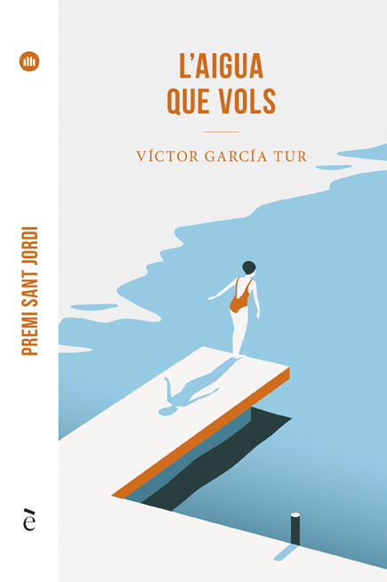 L'aigua que vols (Paperback)