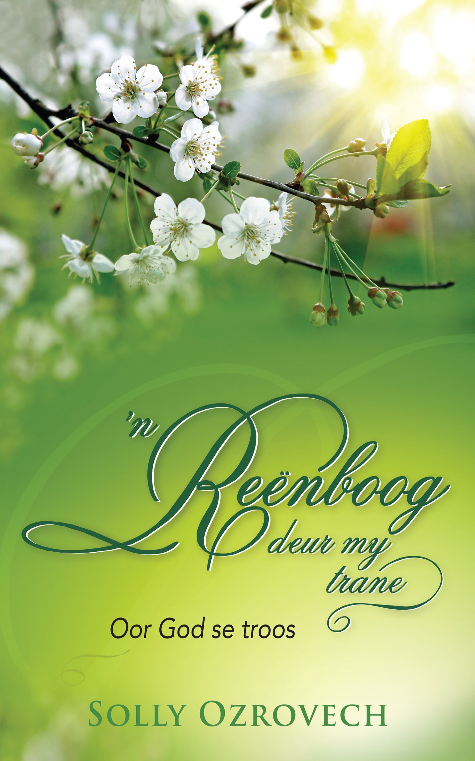 ’n Reënboog deur my trane: Troos vir treurendes (Afrikaans Edition)