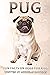 Pug by Michelle Hawkins