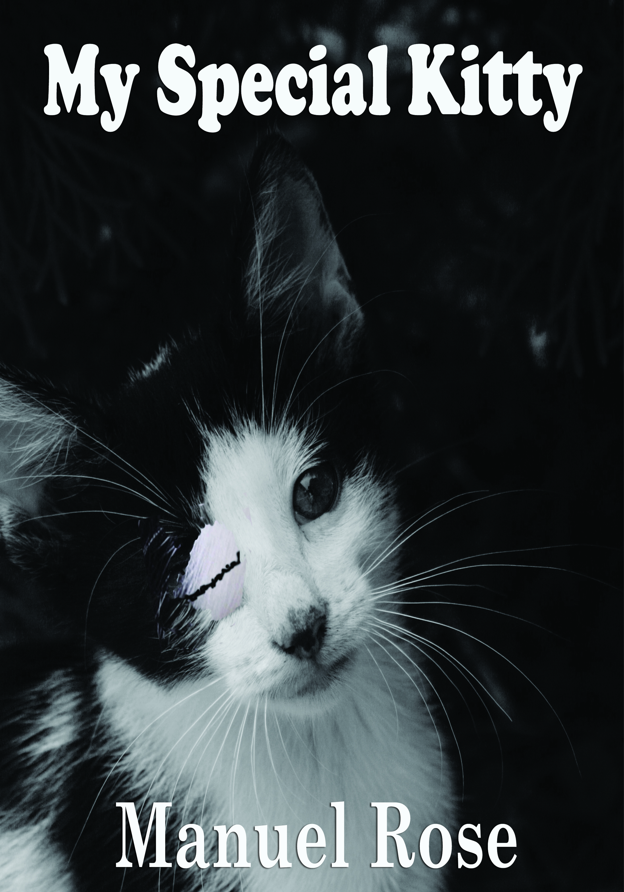 My Special Kitty: A Children's Story