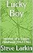 Lucky Boy: Memoir of a Suss...
