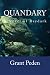 Quandary (Raydark #16)
