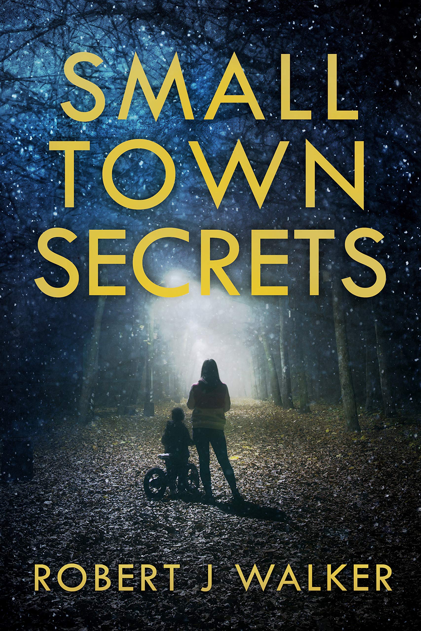 Small Town Secrets (A Riveting Kidnapping Mystery, #27)