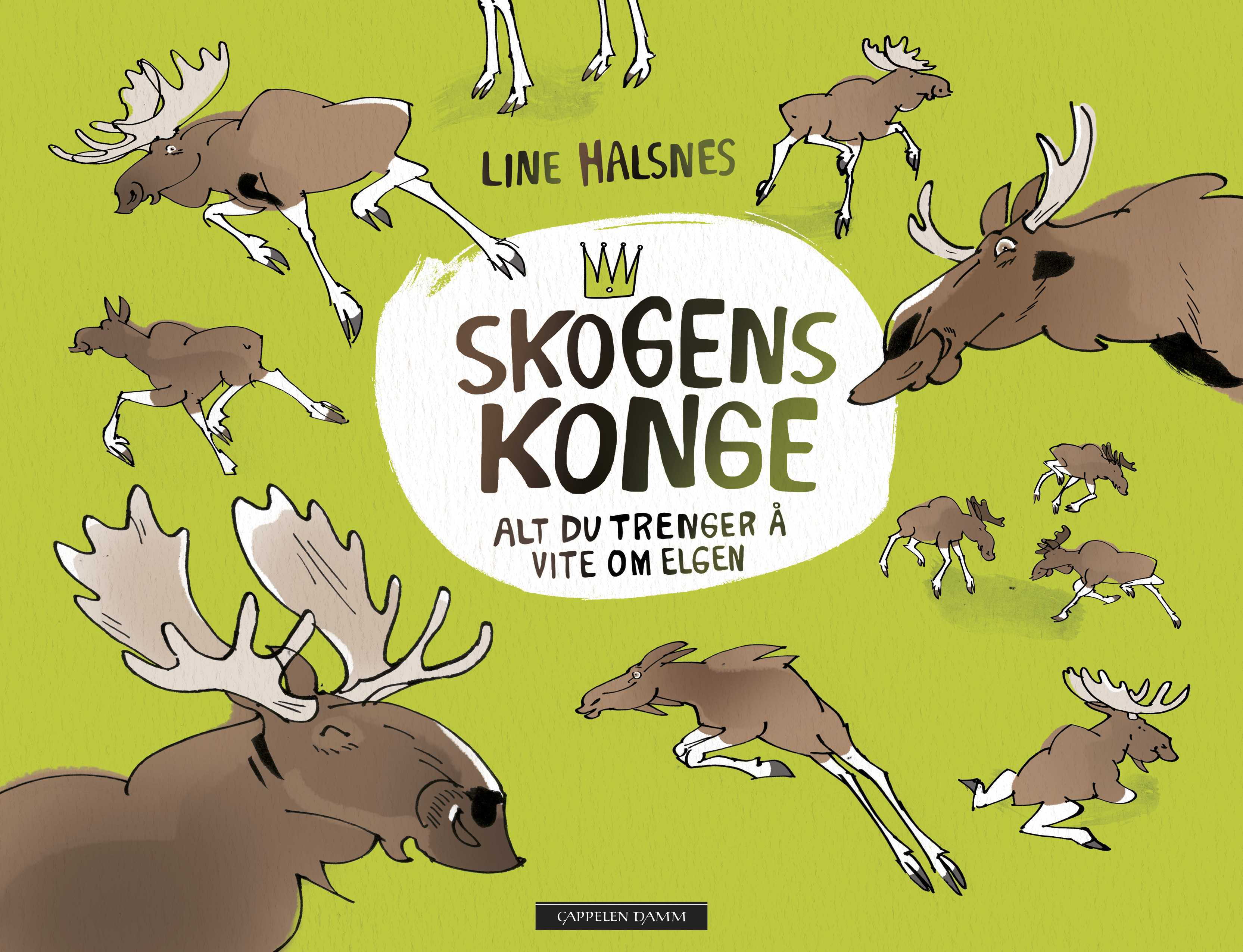 Skogens konge : Alt du vil vite om elgen