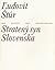 Stratený syn Slovenska