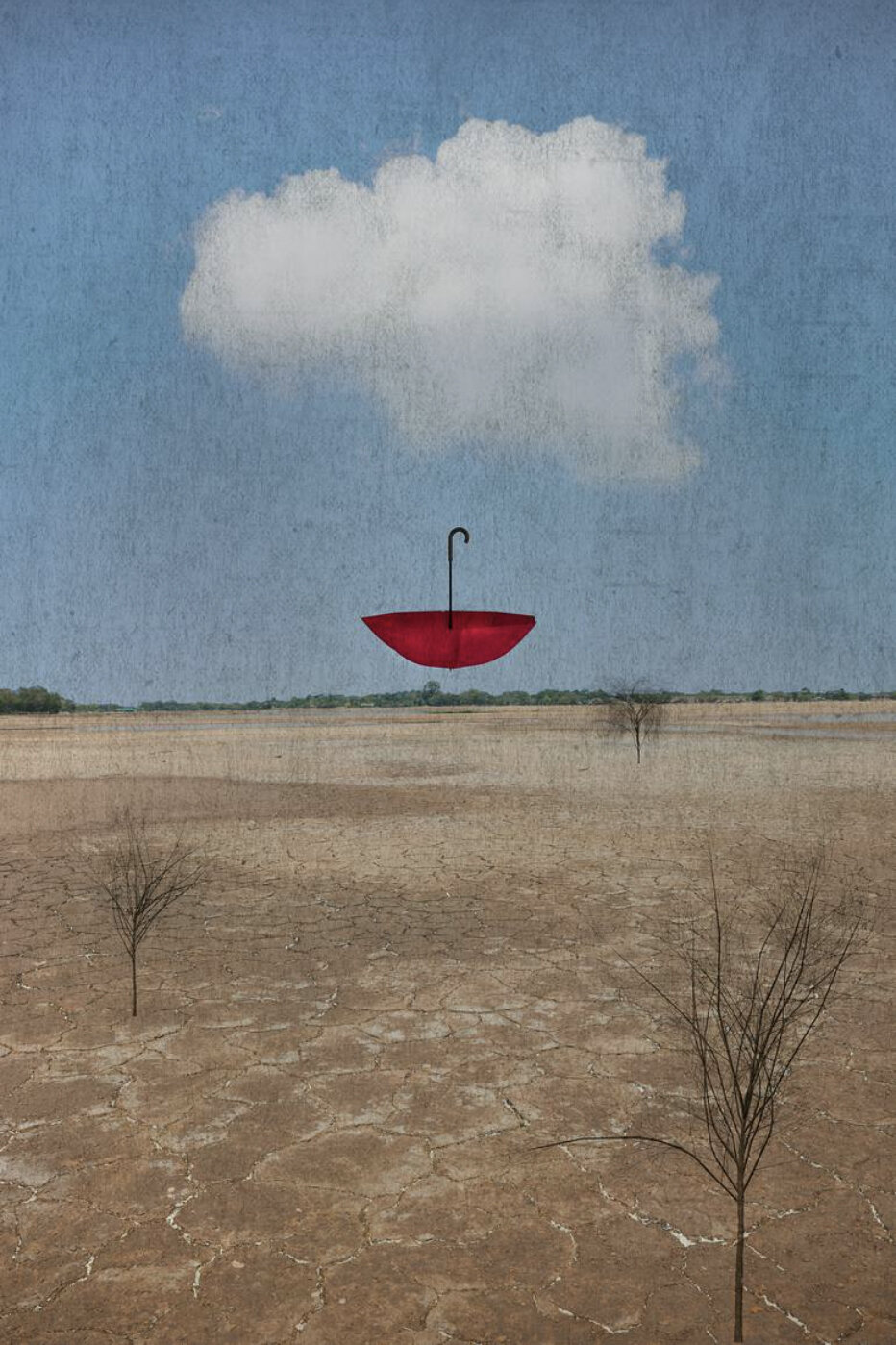 Fire & Water: Stories from the Anthropocene (Unknown Binding)