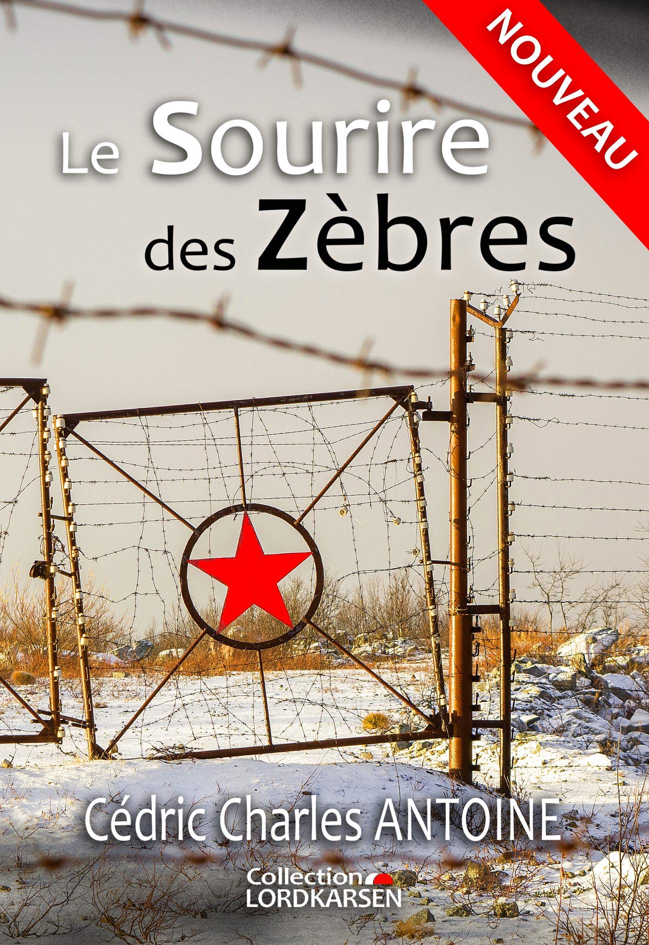 Le Sourire des Zèbres (French Edition)