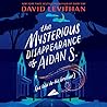 The Mysterious Disappearance of Aidan S. by David Levithan