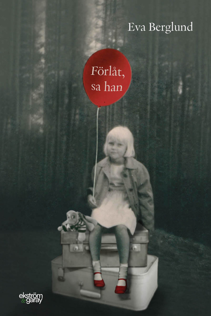 Förlåt, sa han (Paperback)
