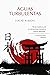 AGUAS TURBULENTAS (Spanish Edition)