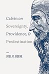 Calvin on Soverei...