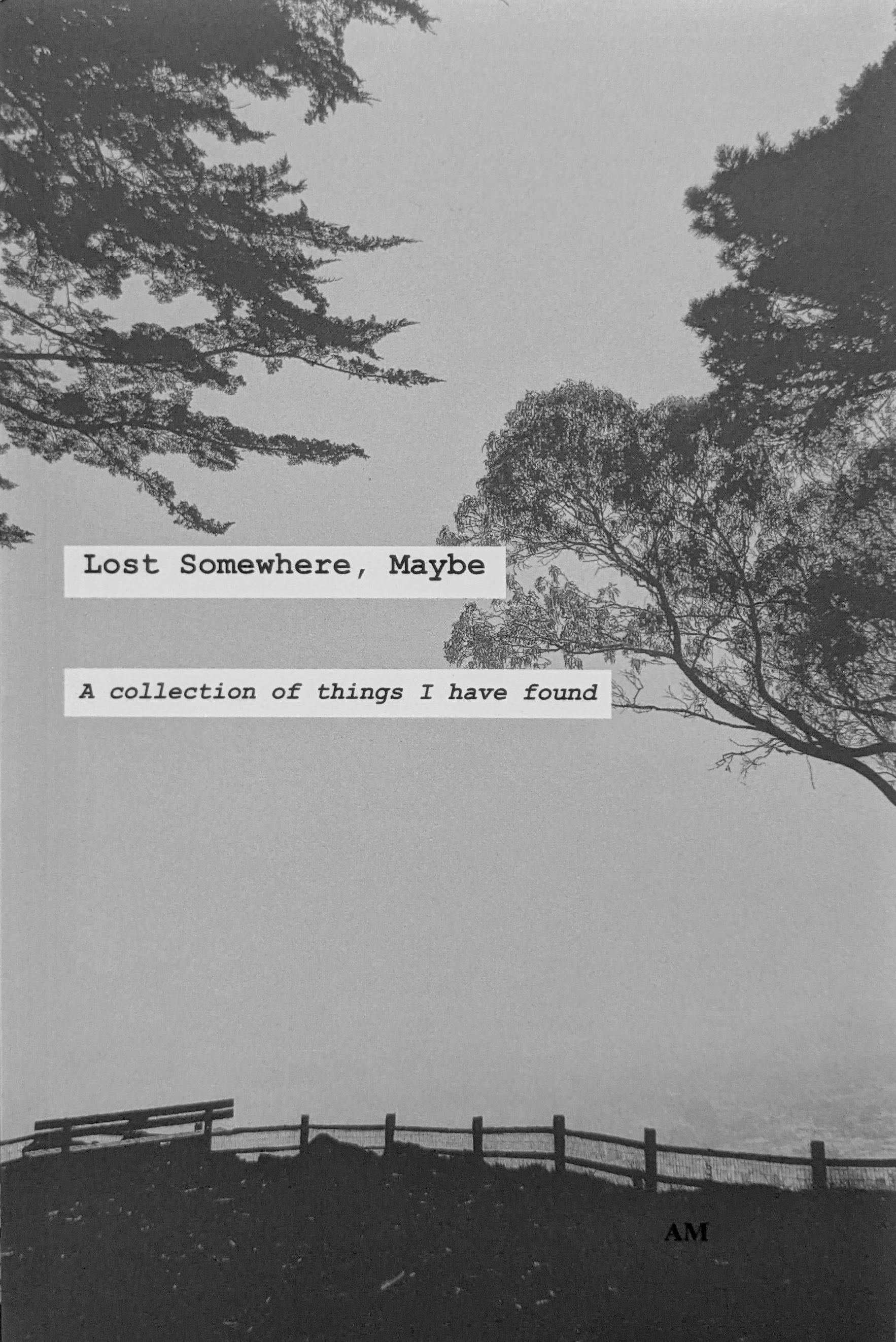 Lost Somewhere, Maybe: A Collection of Things I Have Found