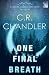 One Final Breath (Special Agent Ricki James, #1)