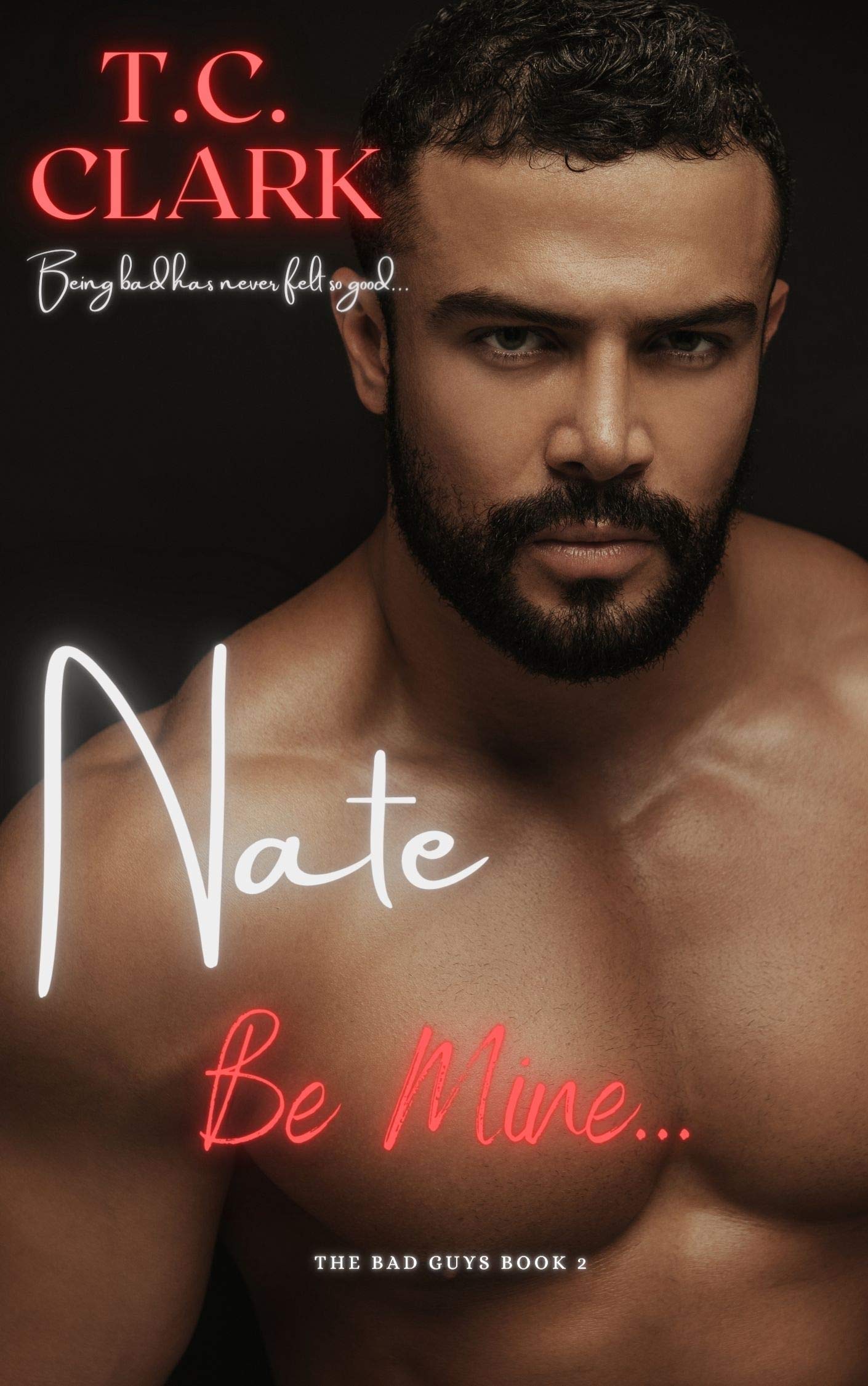 Nate: Be Mine and Alek: Falling for the Infamous Hitman!: Part 1 (Alek and Nate's Story) (The Bad Guys)