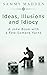 Ideas, Illusions and Idiocy...