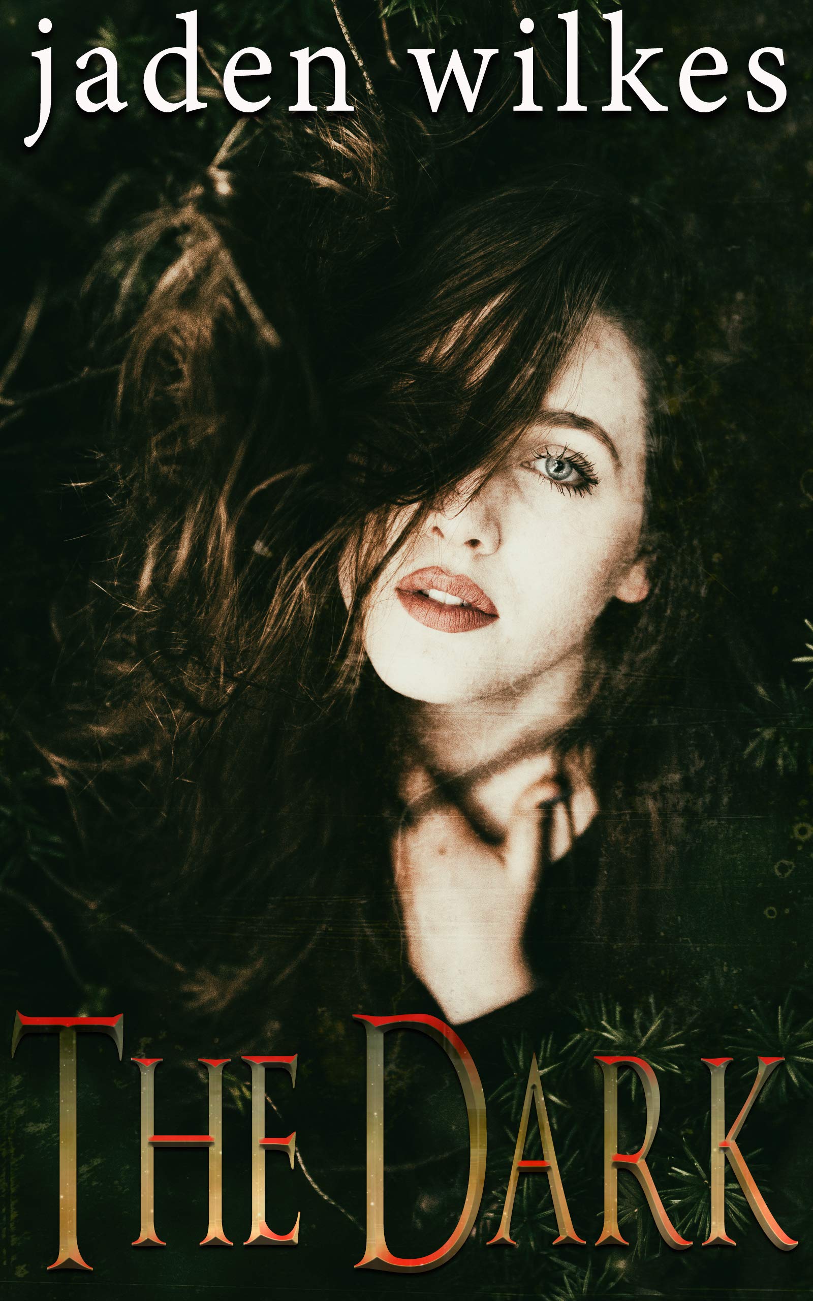 The Dark (Kindle Edition)