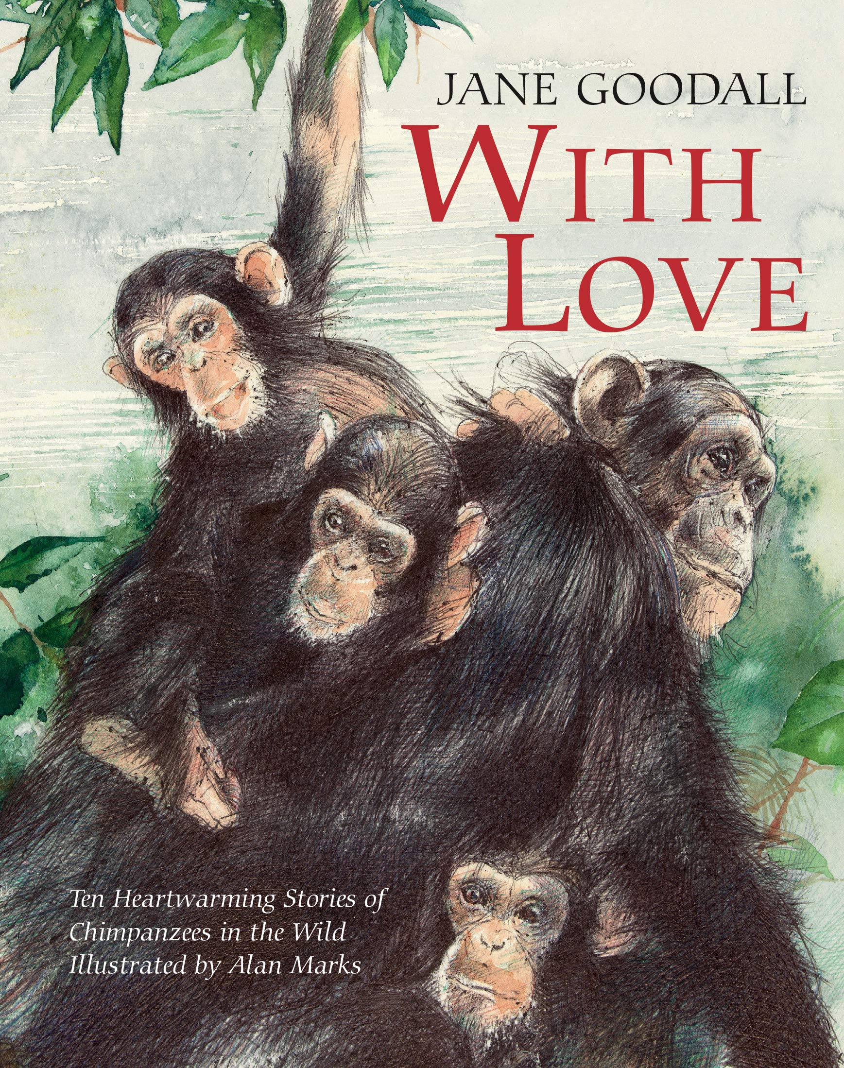 With Love (Library Binding)