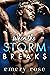 When the Storm Breaks (Lost Stars #2) by Emery Rose