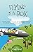 Flying in a Box by Mike Wood