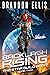Backlash Rising (The Star Guild Saga)