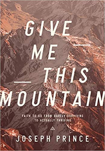 Give Me This Mountain (Paperback)