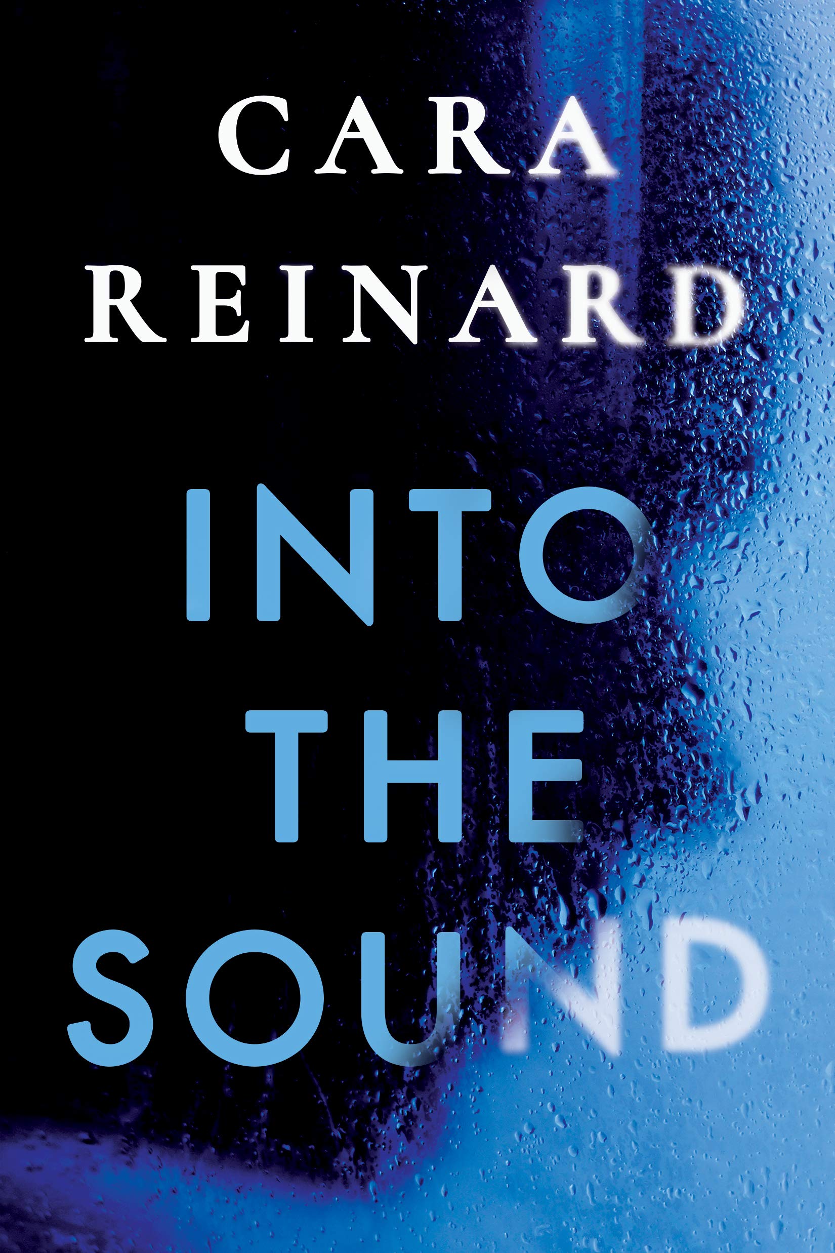 Into the Sound (Kindle Edition)