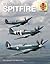 Supermarine Spitfire (Haynes Icons)