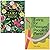 Zaika: Vegan Recipes from I...