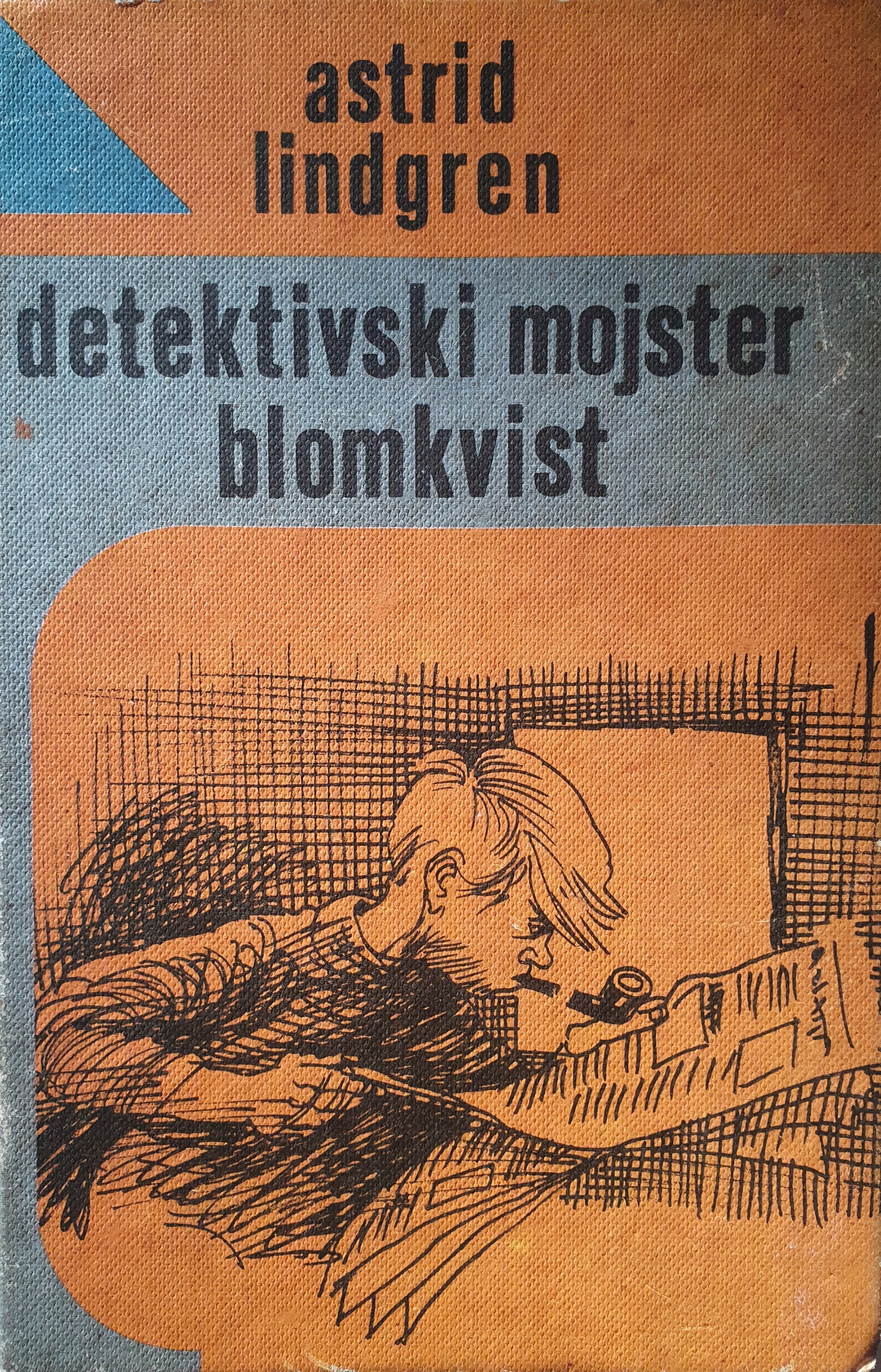 Detektivski mojster Blomkvist