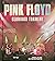 Pink Floyd: Glorious Torment