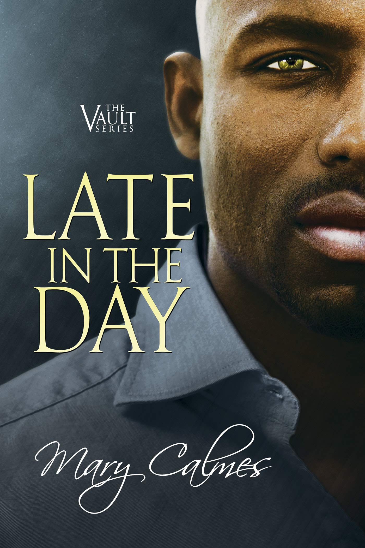 Late In The Day (The Vault, #2)
