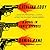 Catalina Eddy: A Novel in Three Decades